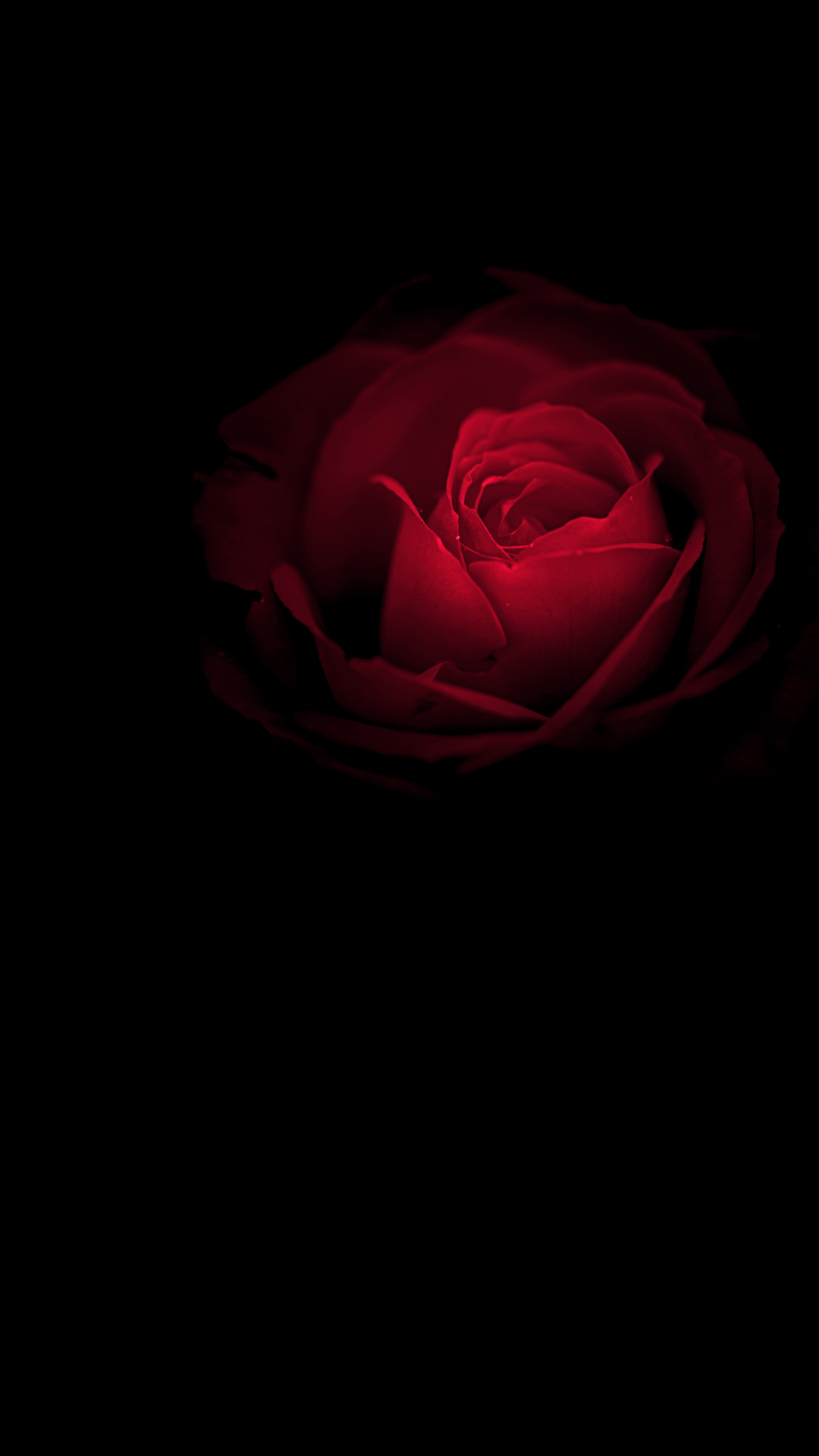 Обои Порше, Huawei, амолед, Huawei Mate, OLED в разрешении 1440x2560