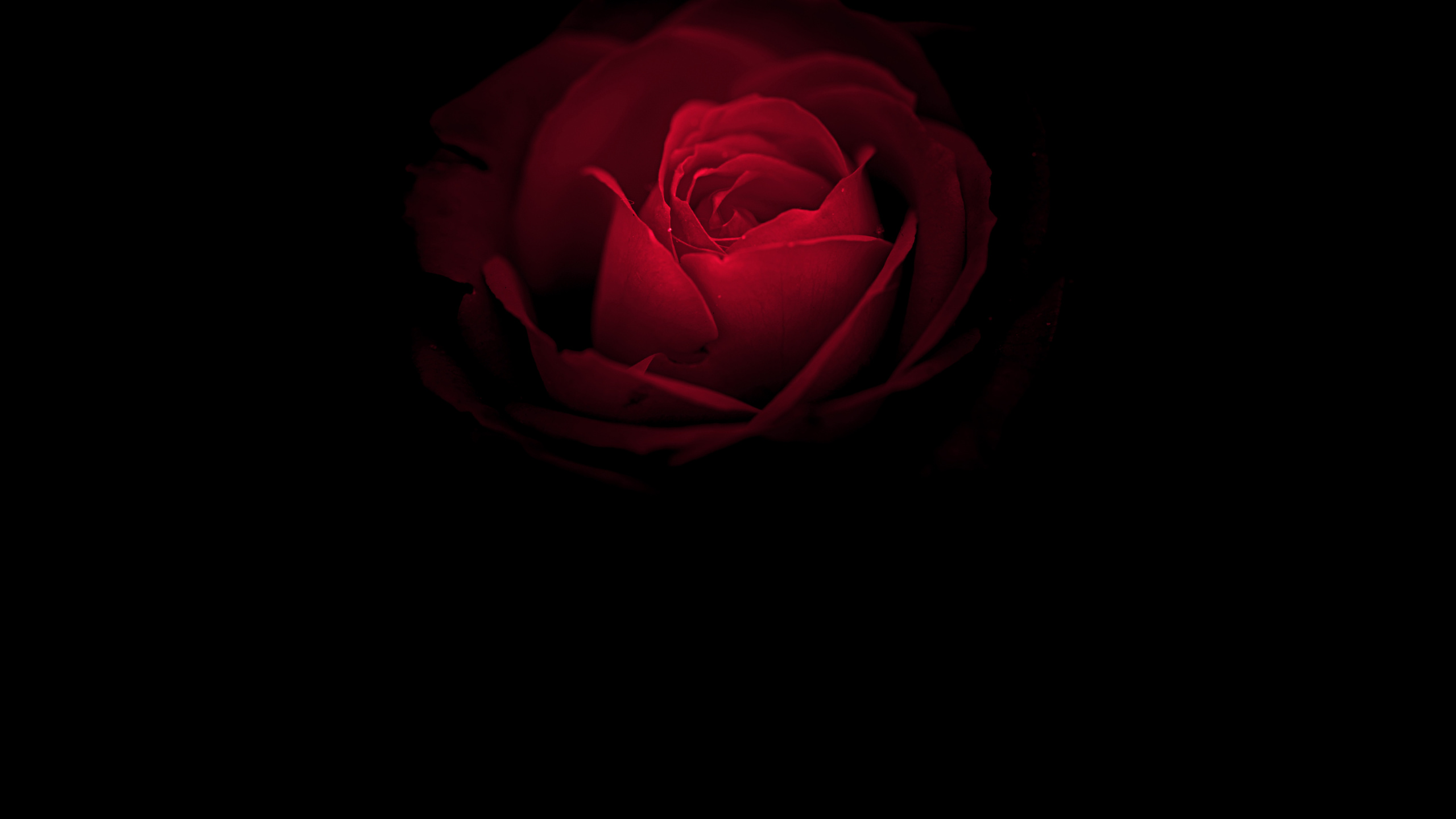 Обои Порше, Huawei, амолед, Huawei Mate, OLED в разрешении 2560x1440