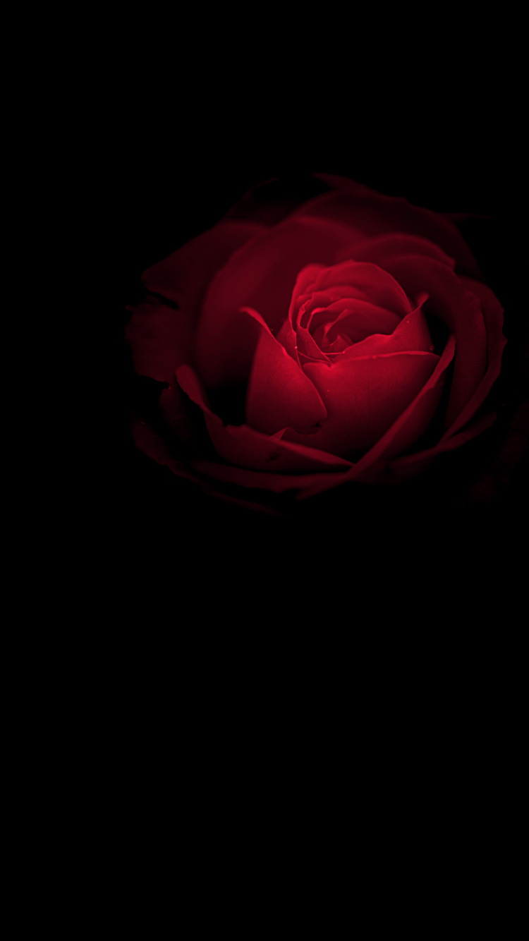 Обои Порше, Huawei, амолед, Huawei Mate, OLED в разрешении 750x1334