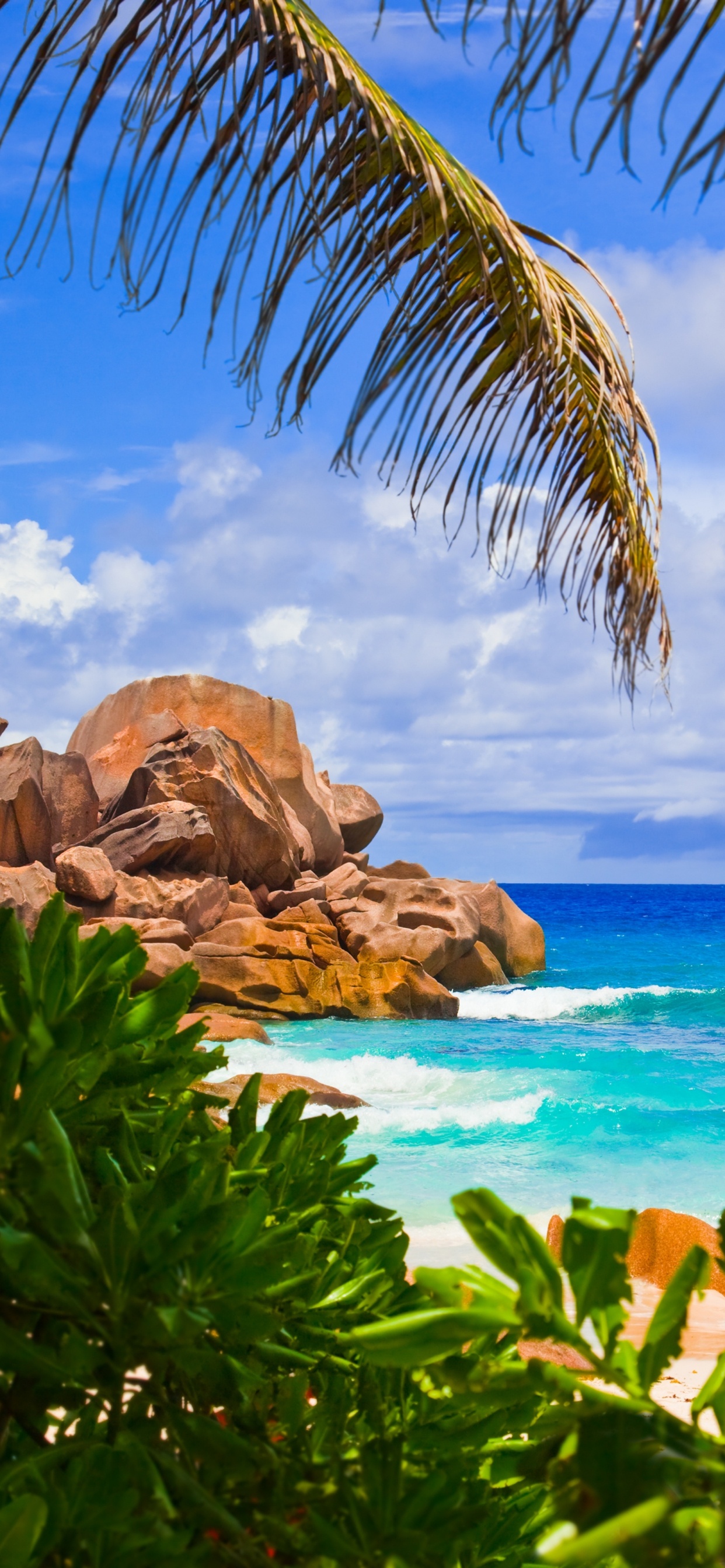 Обои пляж, море, ла диг, тропическая зона, растительность в разрешении 1242x2688