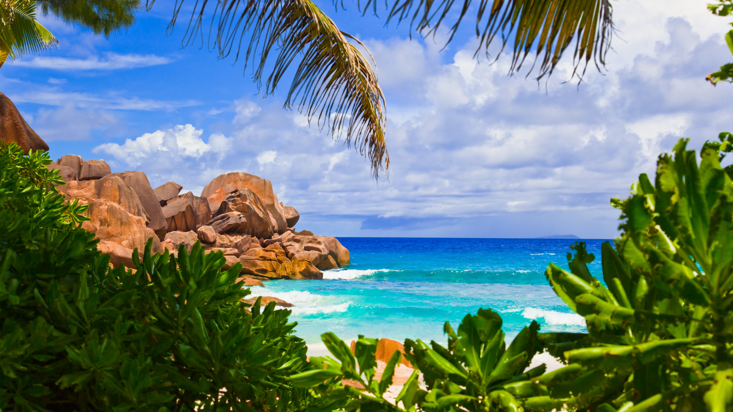 Обои пляж, море, ла диг, тропическая зона, растительность в разрешении 2560x1440