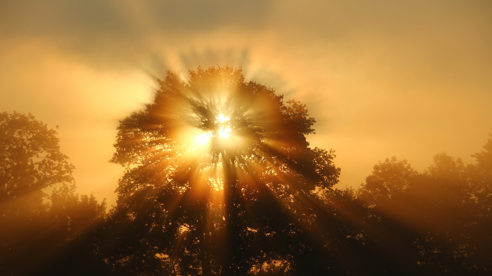 Обои природа, восход солнца, солнце, солнечный свет, свет в разрешении 1920x1080