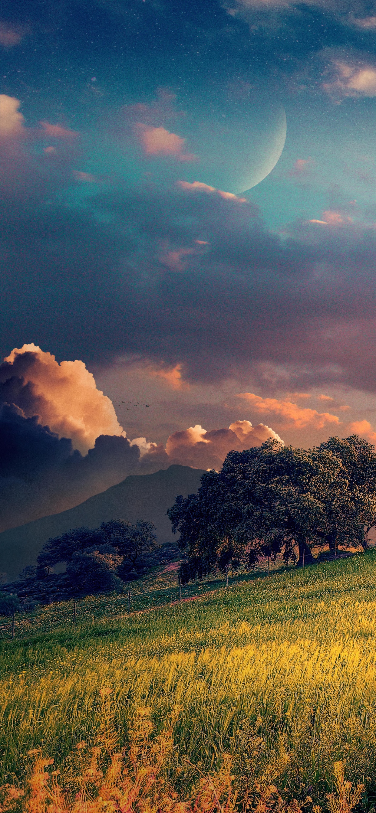 Обои облако, растение, атмосфера, дневное время, луна в разрешении 1242x2688