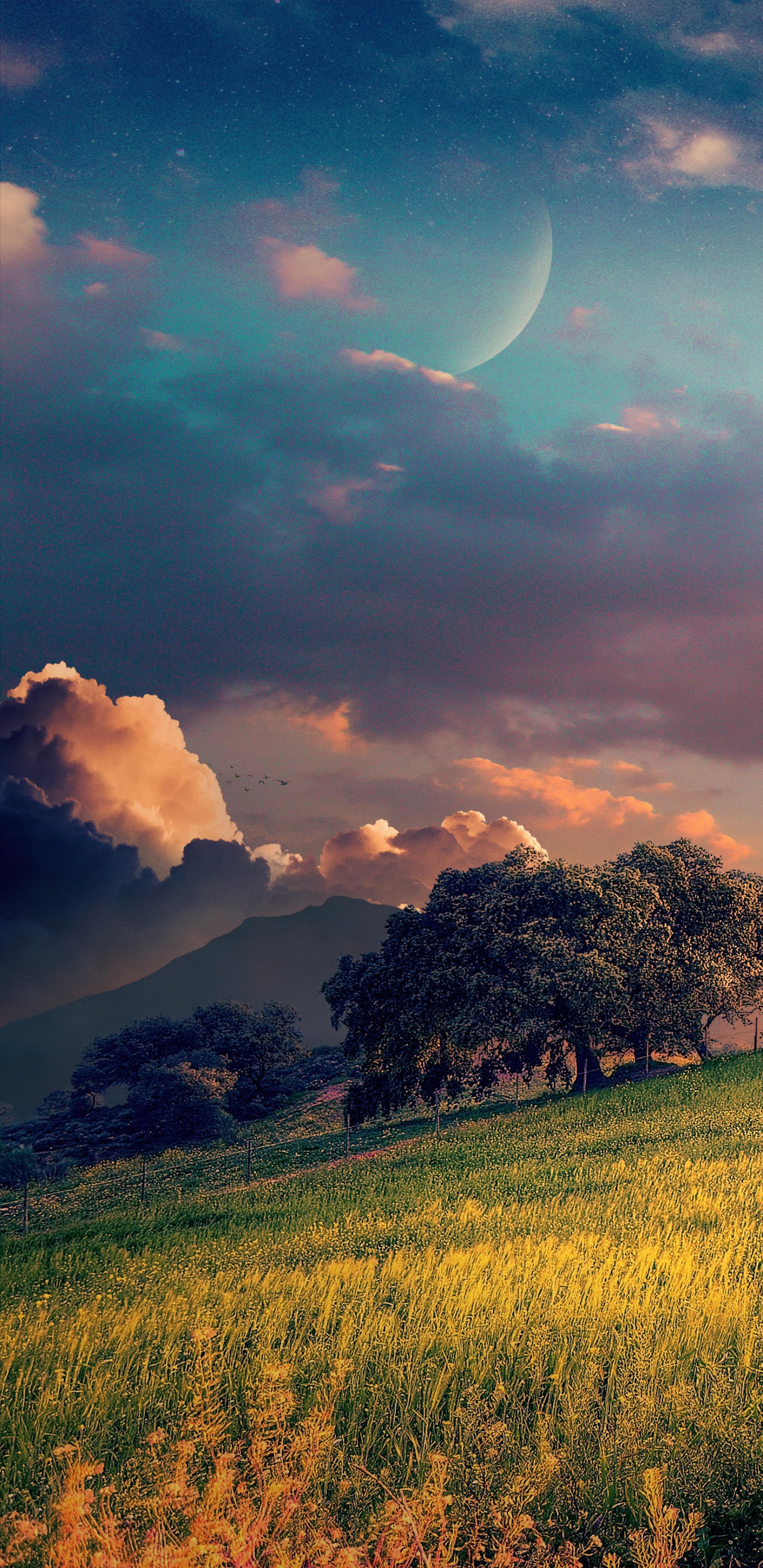 Обои облако, растение, атмосфера, дневное время, луна в разрешении 1440x2960