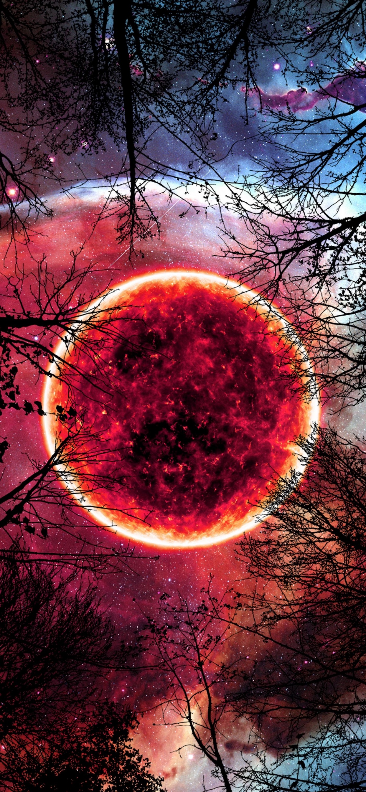 Обои природа, атмосфера, мир, природный ландшафт, вода в разрешении 1242x2688