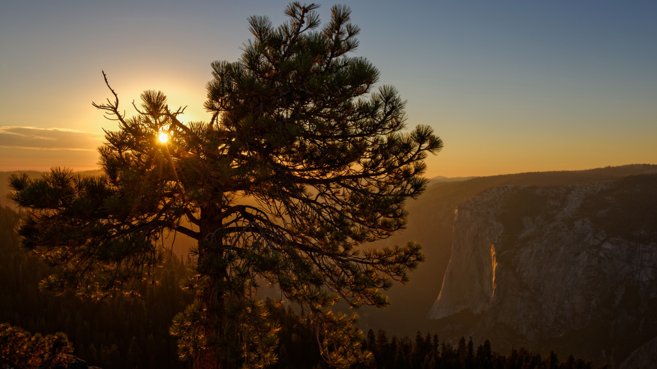 Обои солнце, закат, природа, дерево, утро в разрешении 1280x720