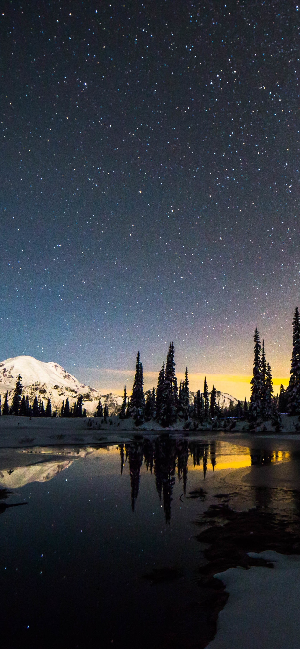Обои Зак Водах, ночь, атмосфера, дерево, музыка в разрешении 1242x2688