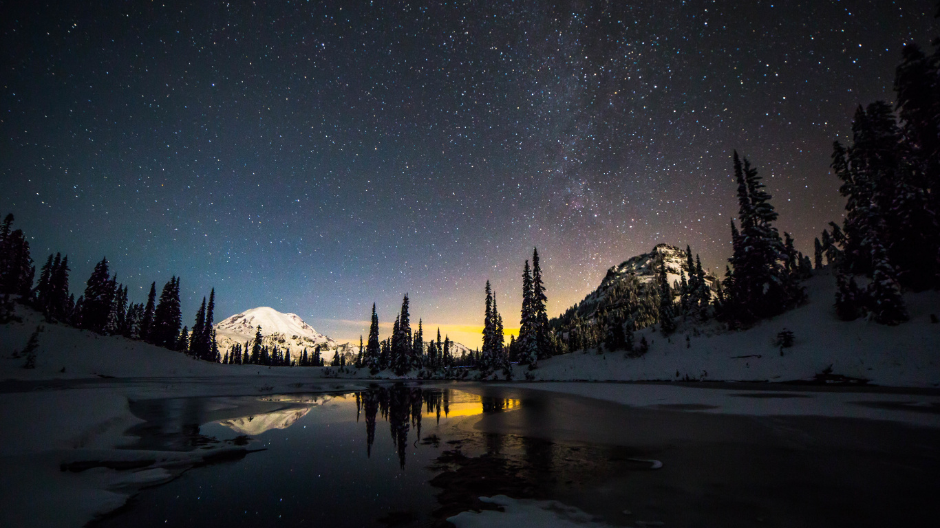 Обои Зак Водах, ночь, атмосфера, дерево, музыка в разрешении 1366x768