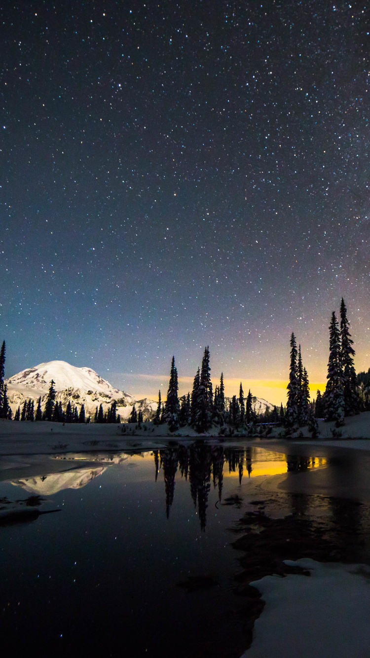 Обои Зак Водах, ночь, атмосфера, дерево, музыка в разрешении 750x1334