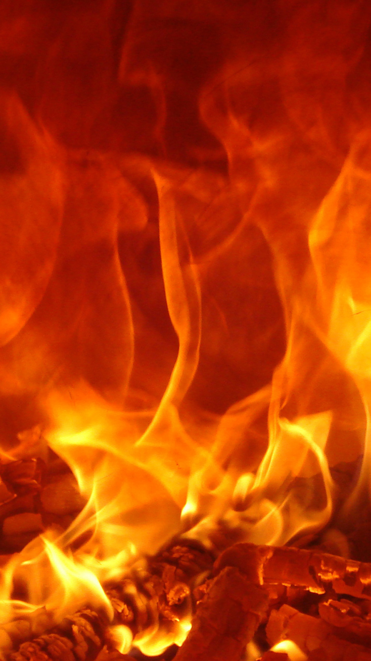 Обои пламя, огонь, тепло в разрешении 750x1334