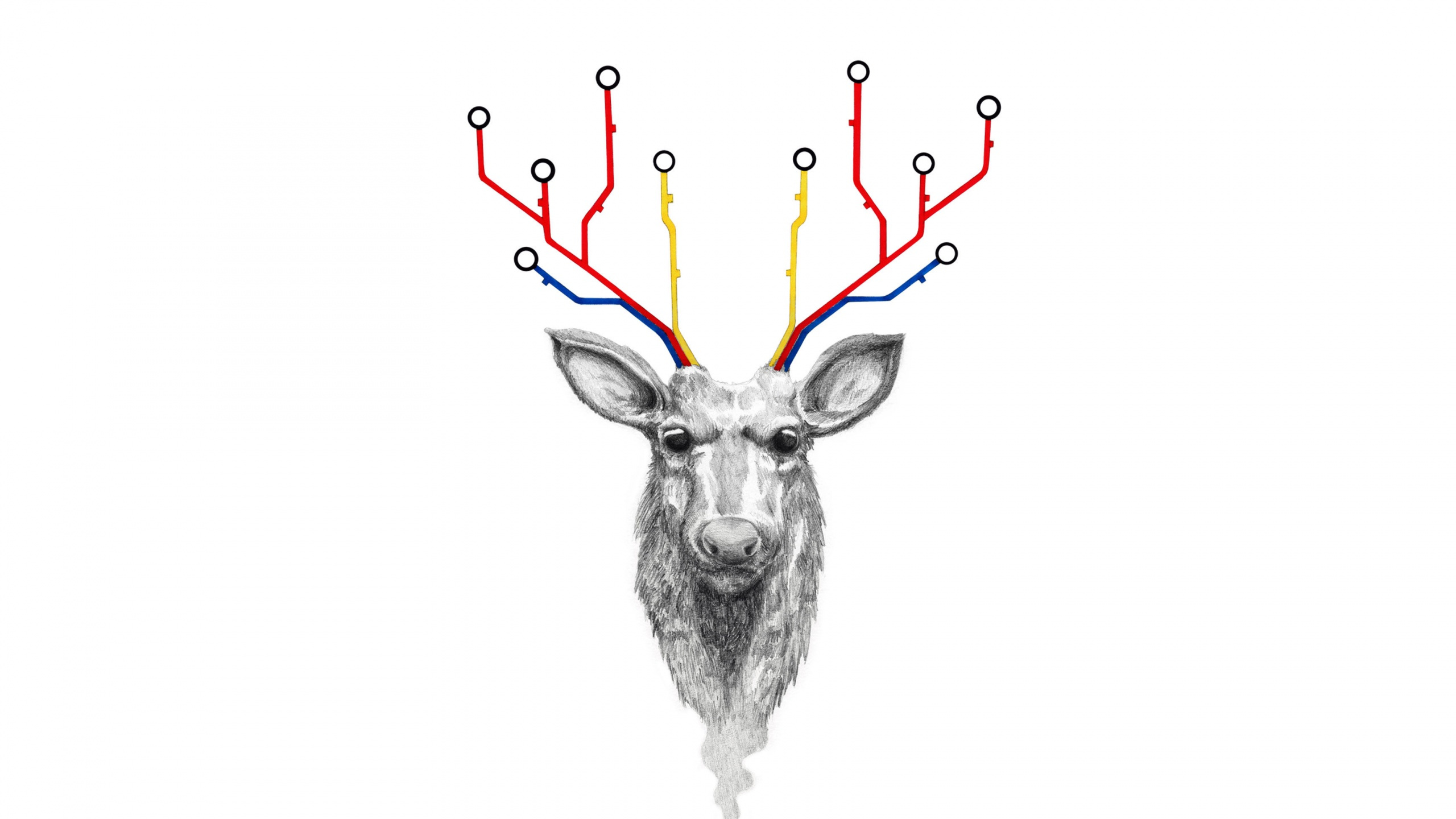 Обои постер, олень, Северный олень, иллюстрация, олений рог в разрешении 2560x1440