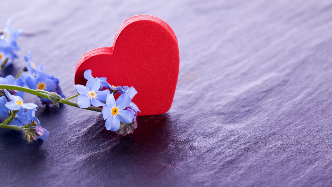 Обои сердце, цветок, любовь, лепесток, whatsapp в разрешении 1366x768