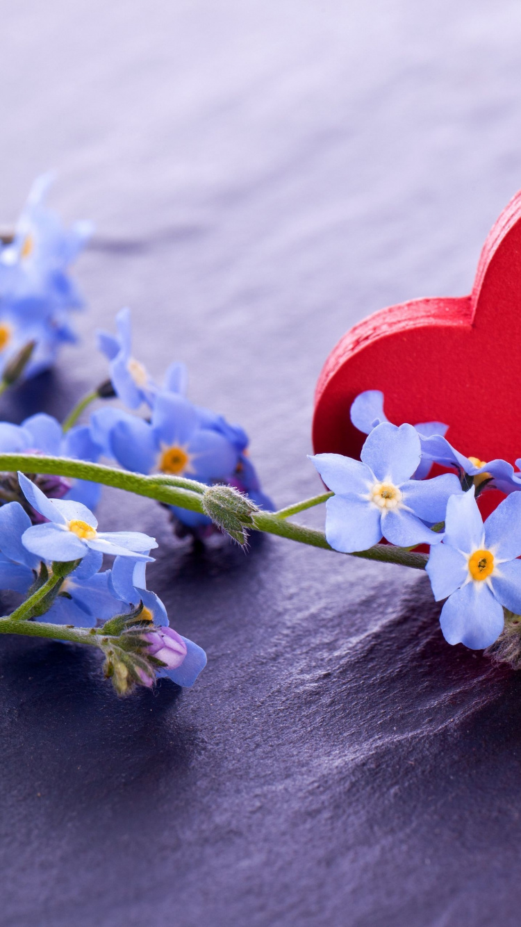 Обои сердце, цветок, любовь, лепесток, whatsapp в разрешении 750x1334