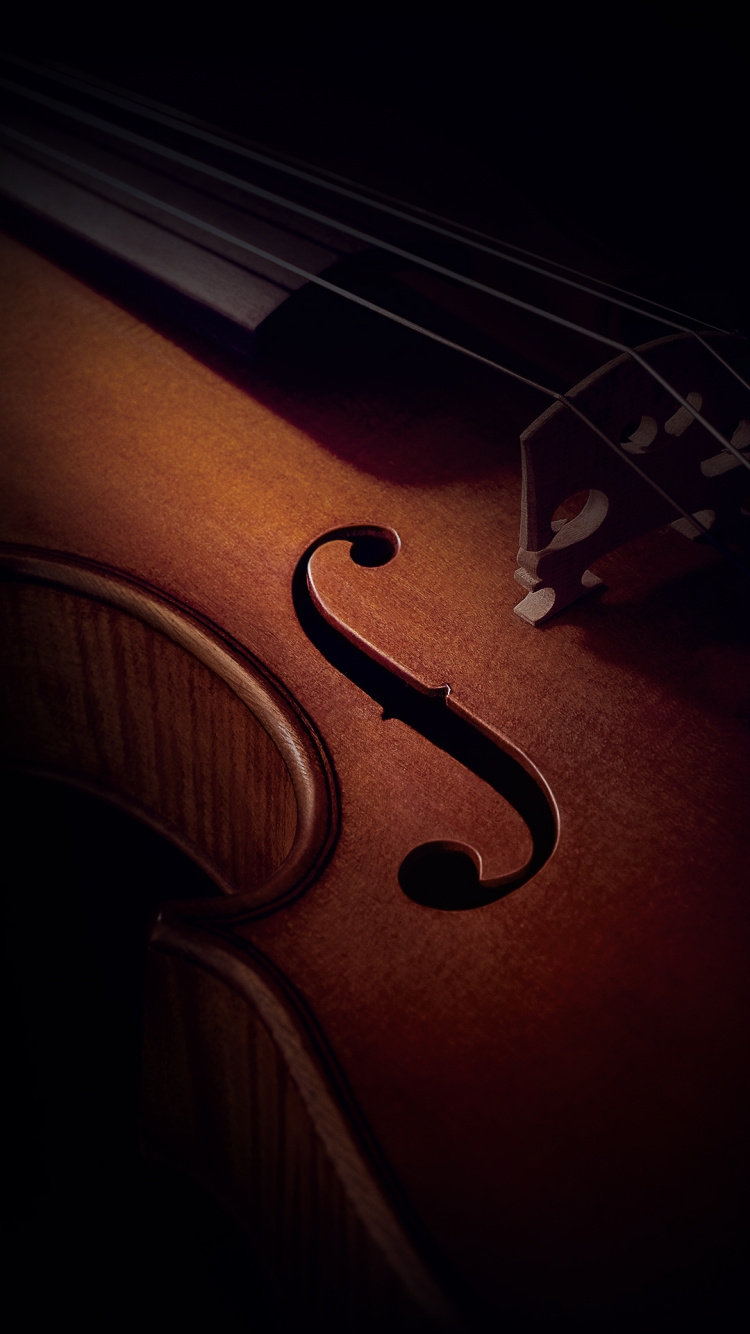 Обои Xiaomi, Xiaomi Redmi K20 Pro, редми примечание 8 про, xiaomi mi 9, xiaomi mi 9t pro в разрешении 750x1334