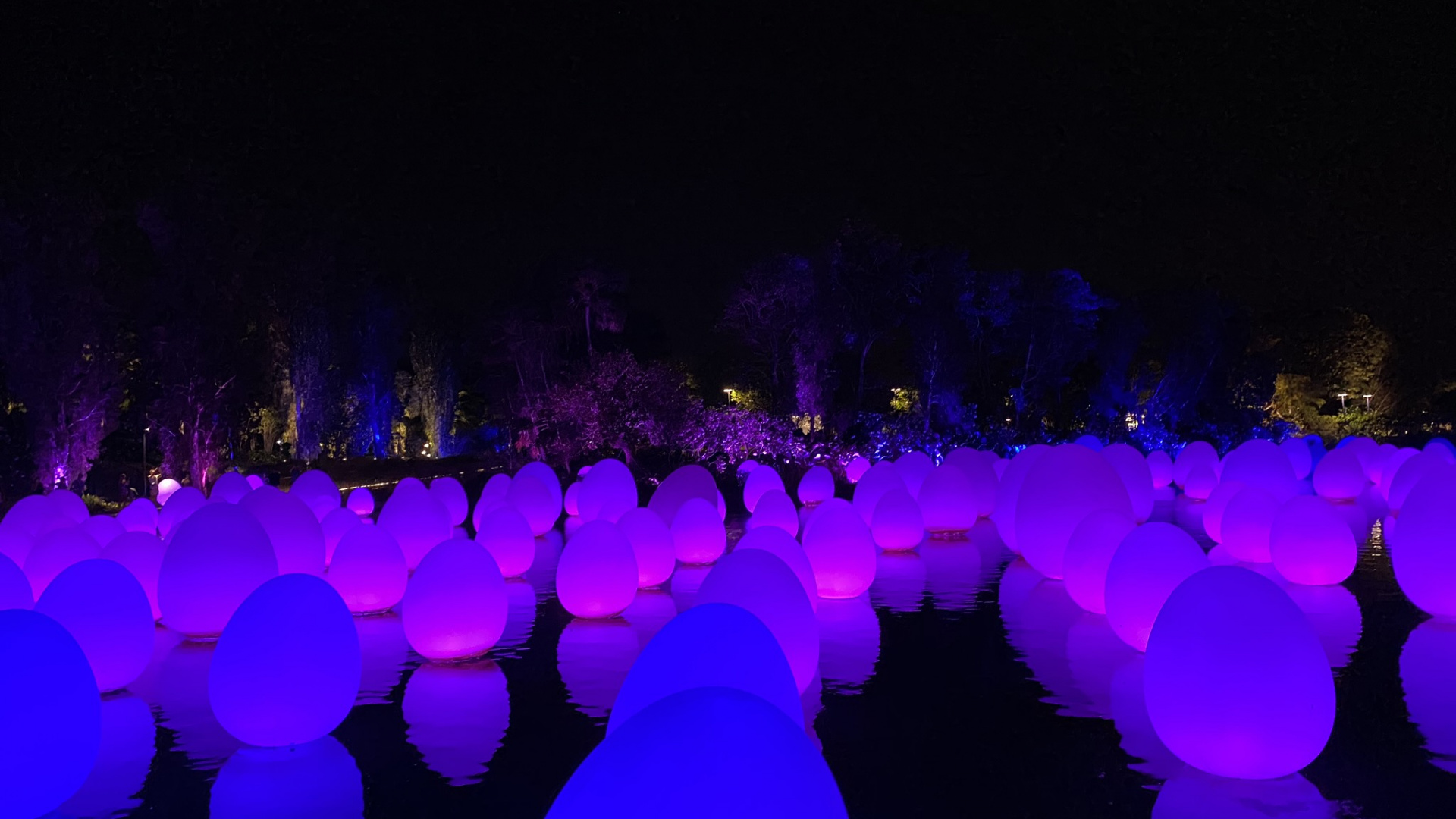 Обои Сингапур, свет, физика, ночь, пурпур в разрешении 1920x1080