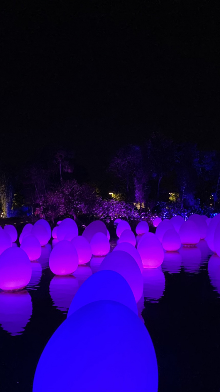 Обои Сингапур, свет, физика, ночь, пурпур в разрешении 750x1334