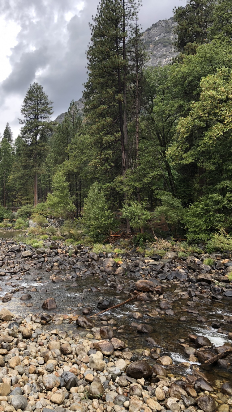 Обои дикая местность, недвижимость, земельный участок, colici murici, кондоминиум в разрешении 750x1334