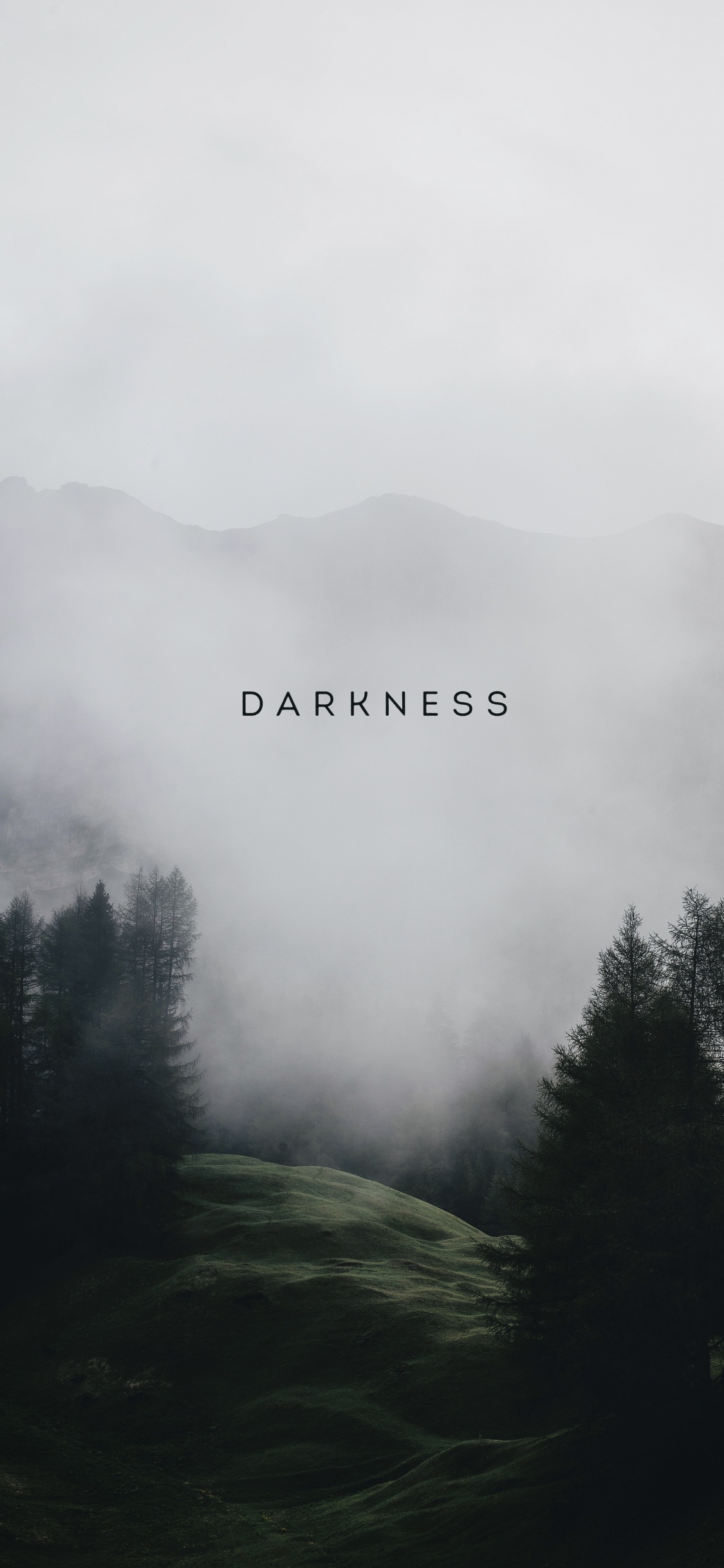 Обои облако, атмосфера, растение, гора, дымка в разрешении 1125x2436