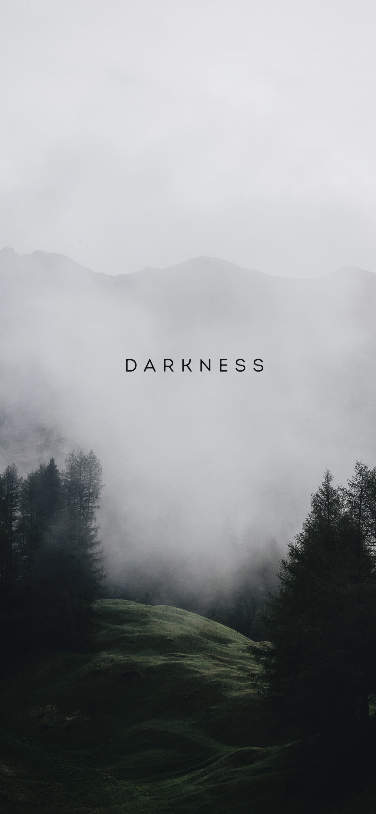 Обои облако, атмосфера, растение, гора, дымка в разрешении 1242x2688