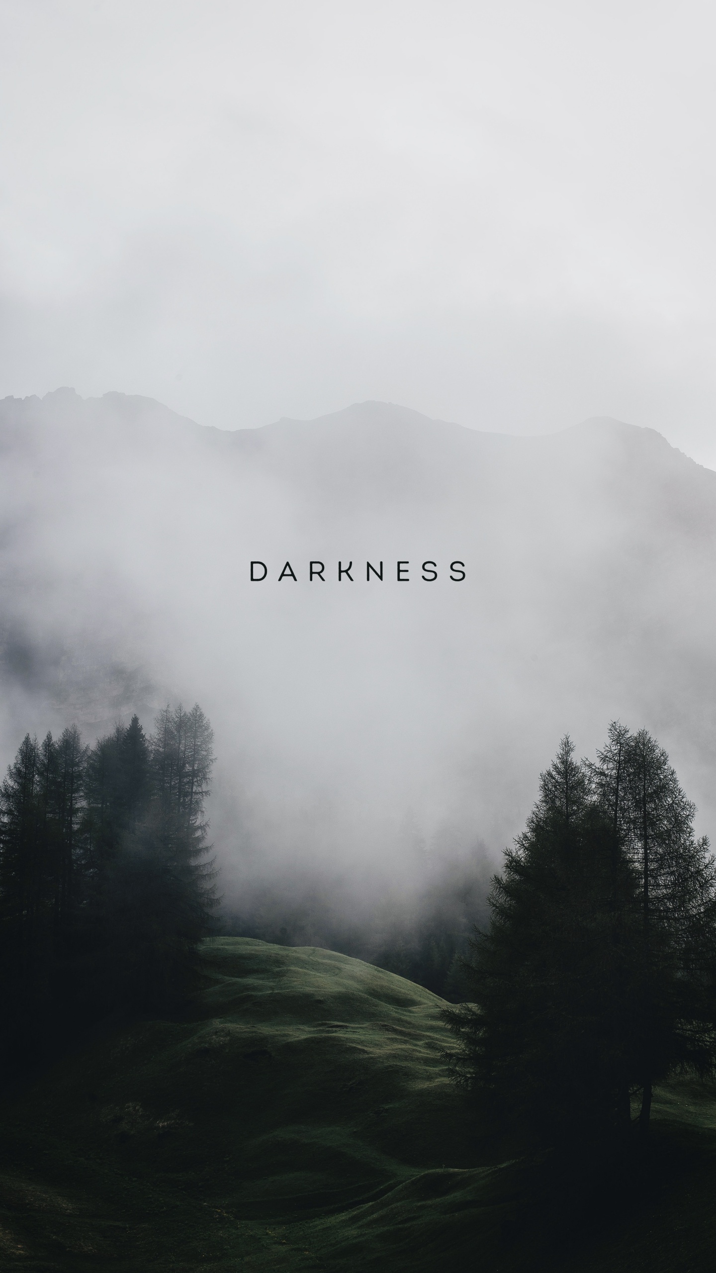 Обои облако, атмосфера, растение, гора, дымка в разрешении 1440x2560