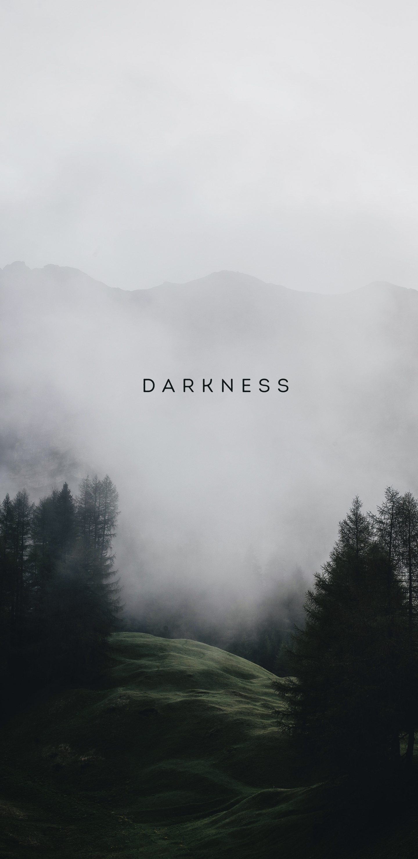 Обои облако, атмосфера, растение, гора, дымка в разрешении 1440x2960