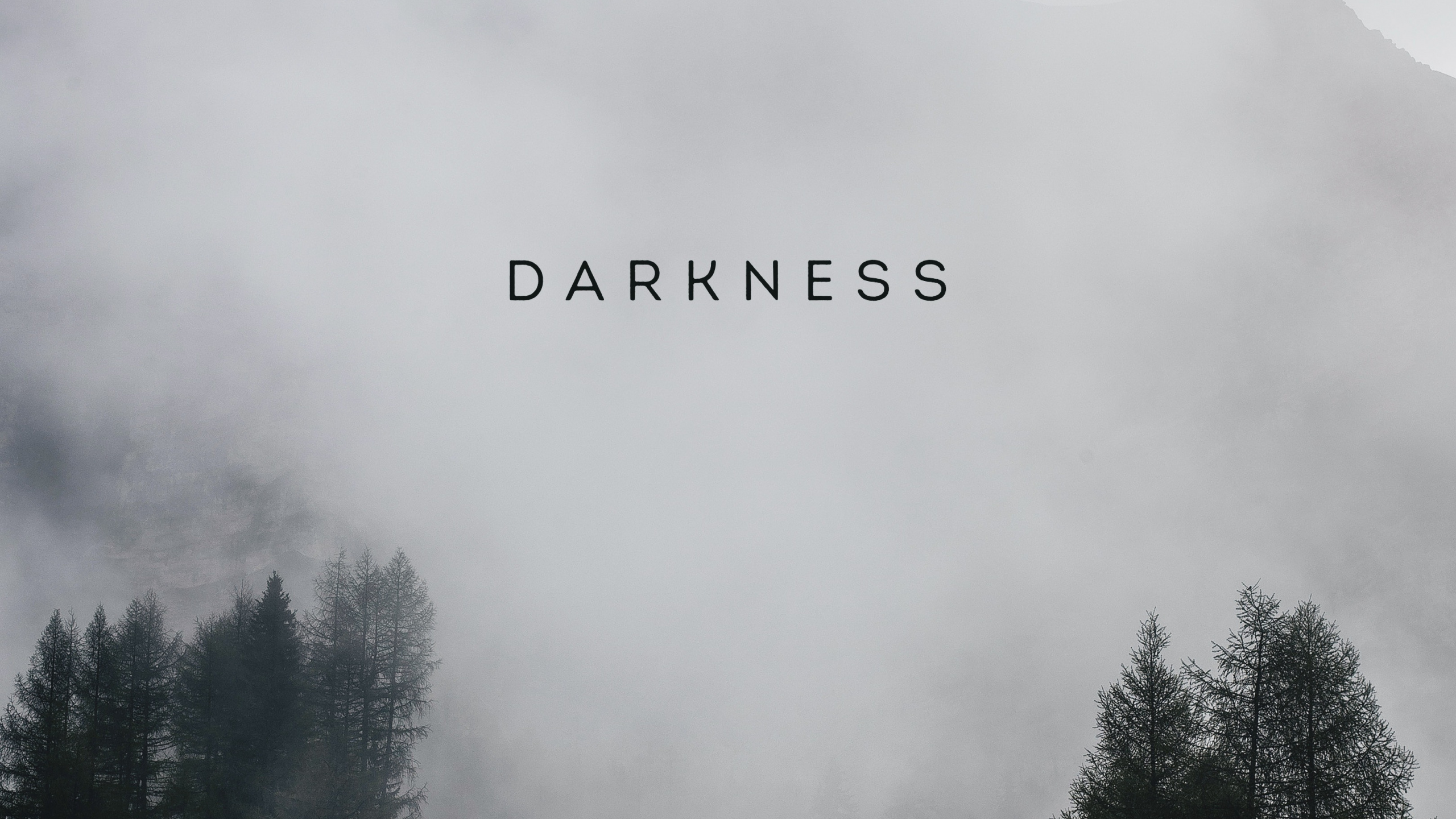 Обои облако, атмосфера, растение, гора, дымка в разрешении 2560x1440