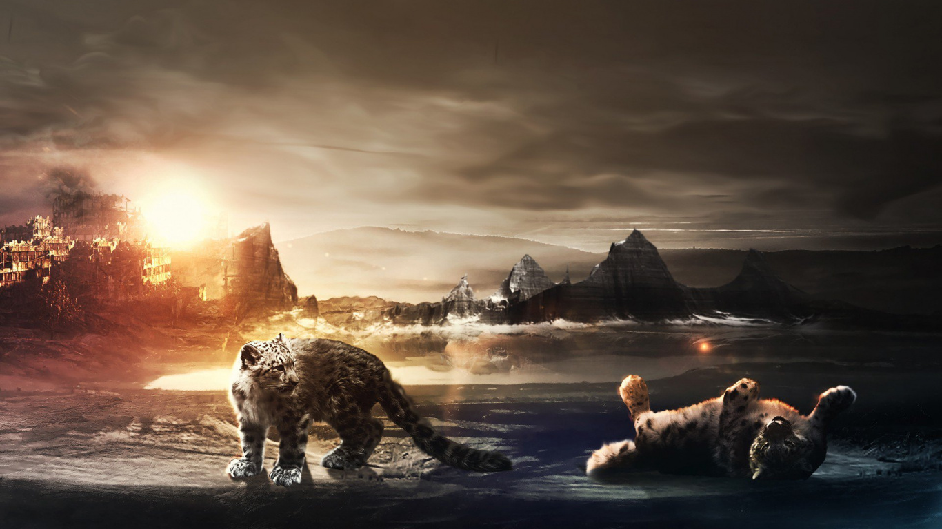 Обои кошачьих, живая природа, облако, пейзаж, рок в разрешении 1366x768