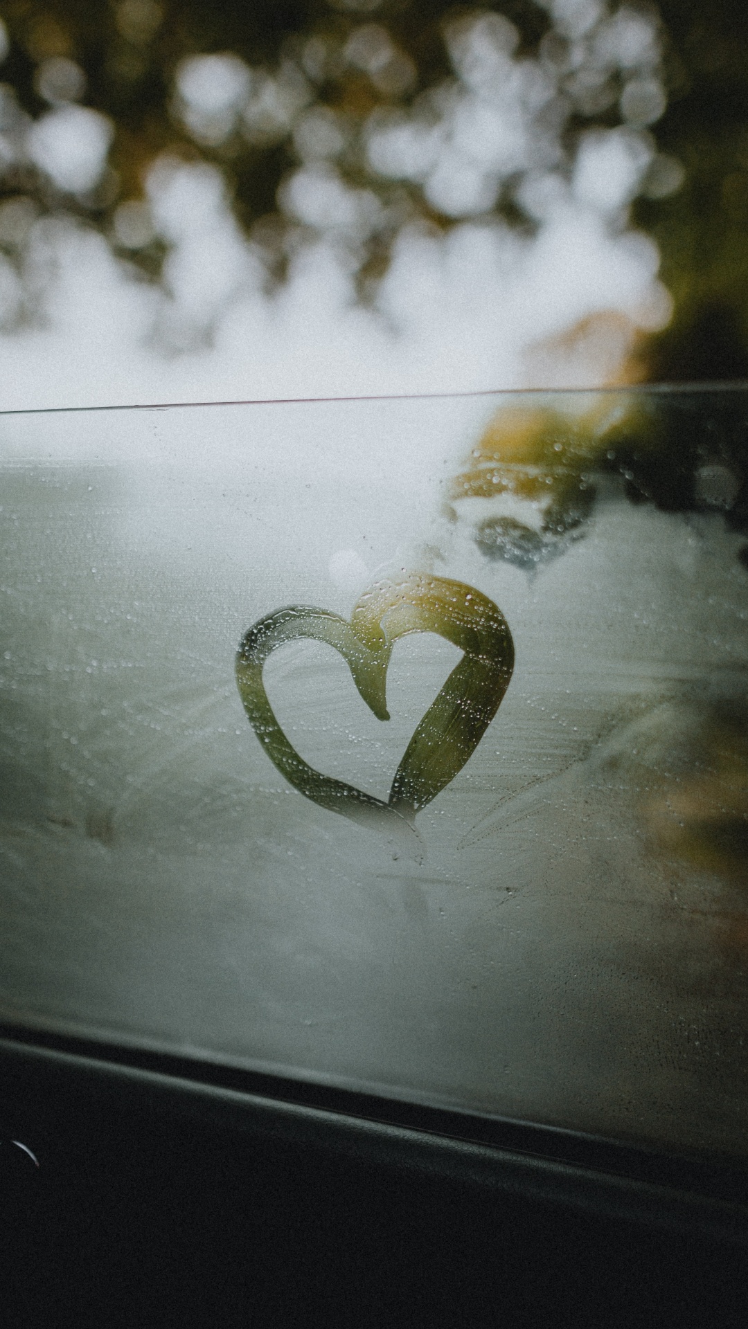 Обои зеленый, сердце, лист, дерево, растение в разрешении 1080x1920