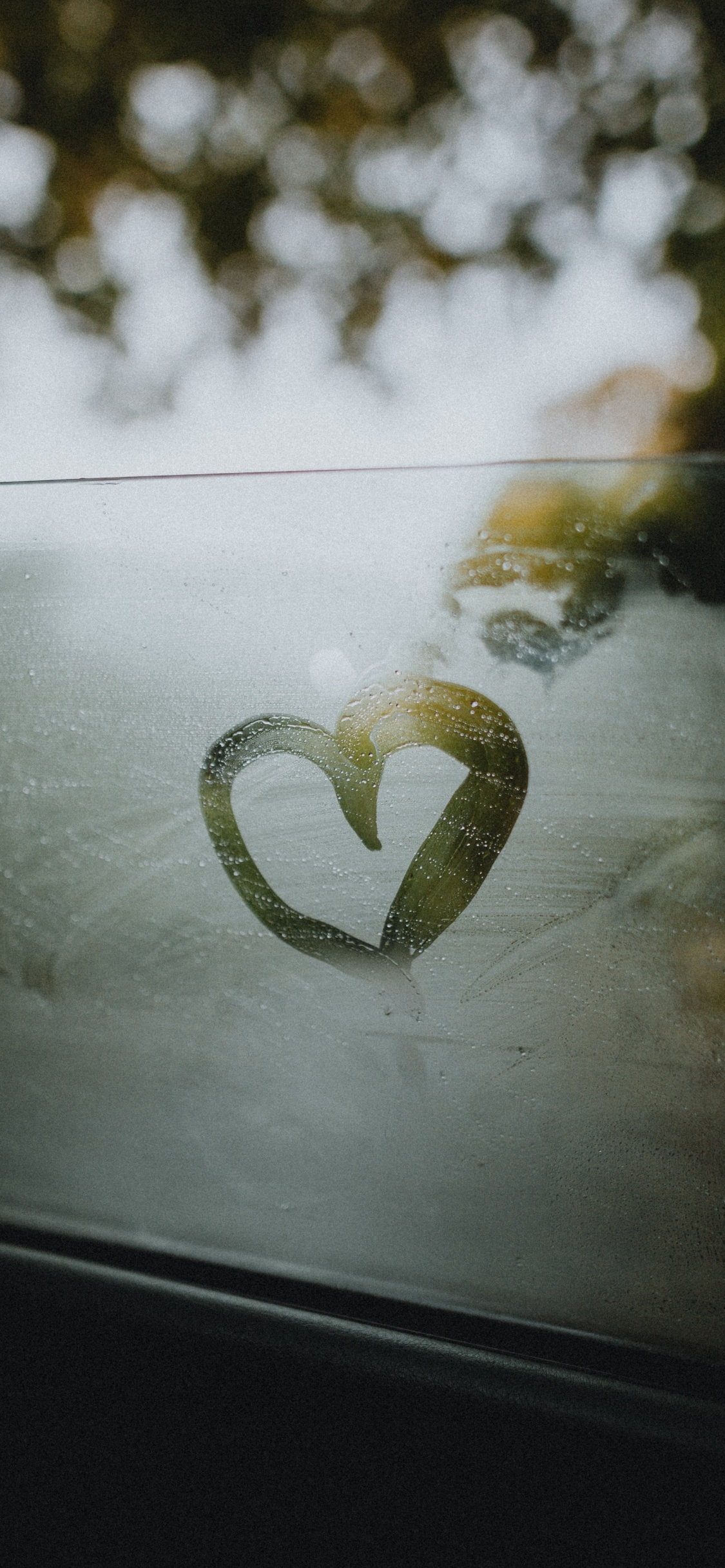 Обои зеленый, сердце, лист, дерево, растение в разрешении 1125x2436