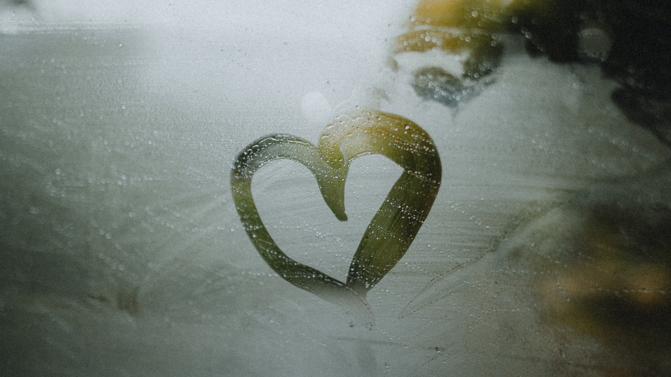 Обои зеленый, сердце, лист, дерево, растение в разрешении 1366x768