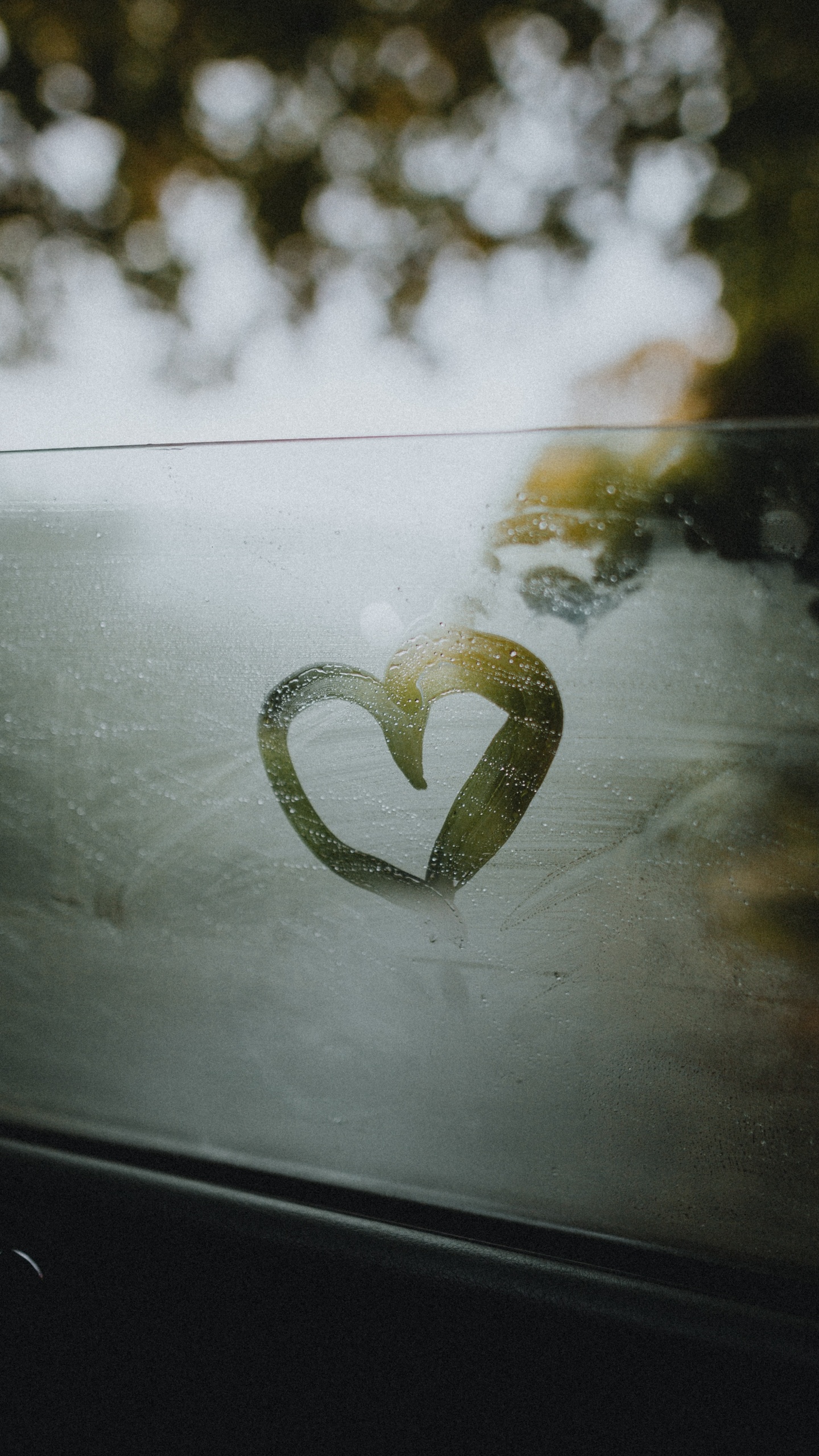 Обои зеленый, сердце, лист, дерево, растение в разрешении 1440x2560