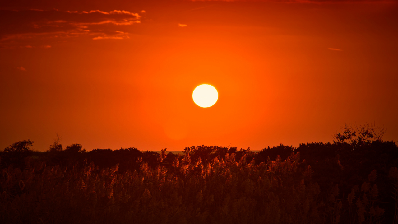 Обои горизонт, утро, восход солнца, дневное время, рассвет в разрешении 1280x720