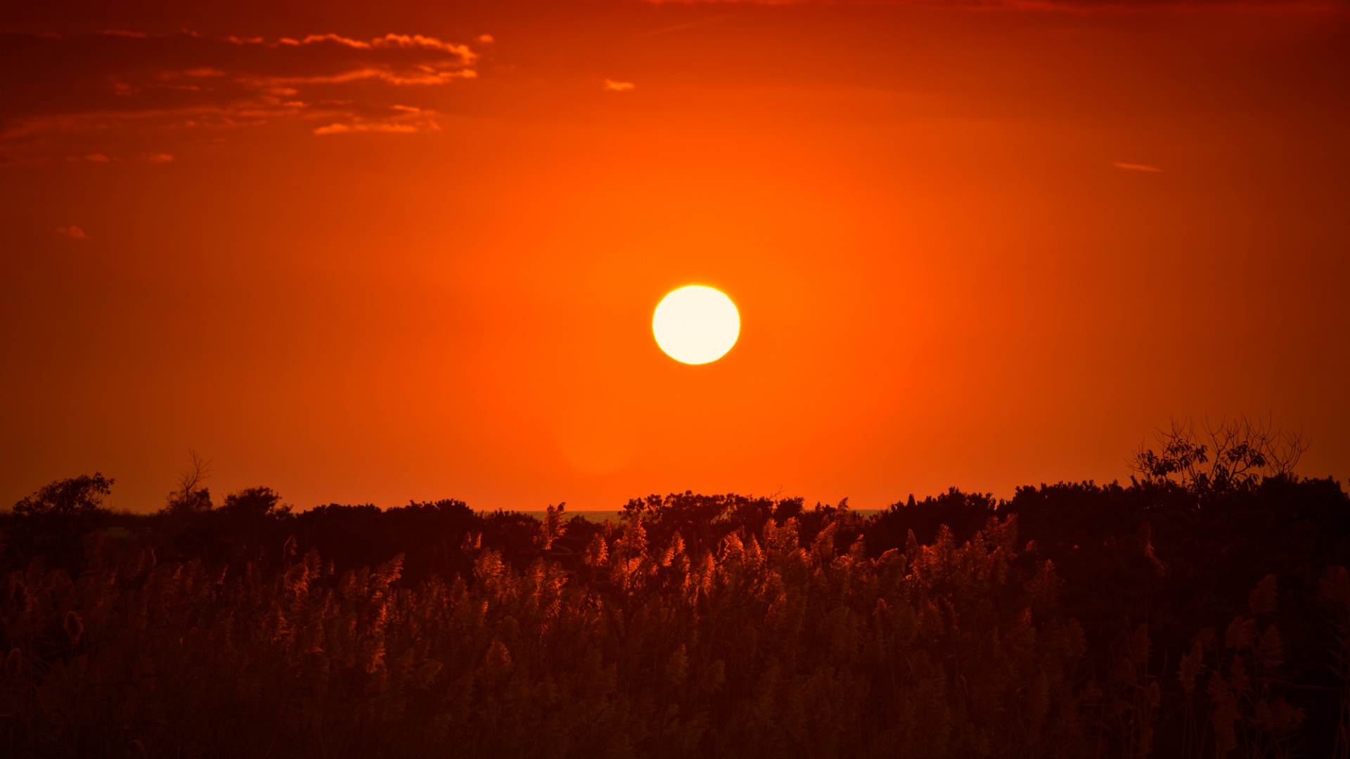 Обои горизонт, утро, восход солнца, дневное время, рассвет в разрешении 1920x1080