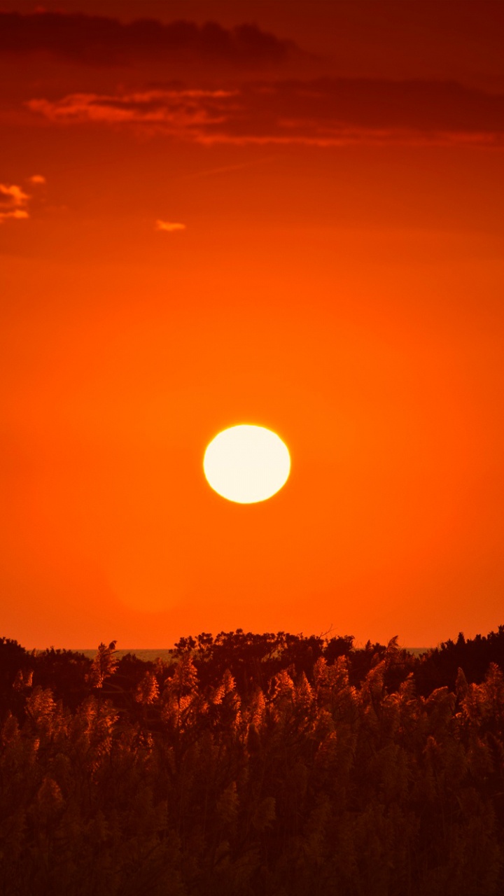 Обои горизонт, утро, восход солнца, дневное время, рассвет в разрешении 720x1280