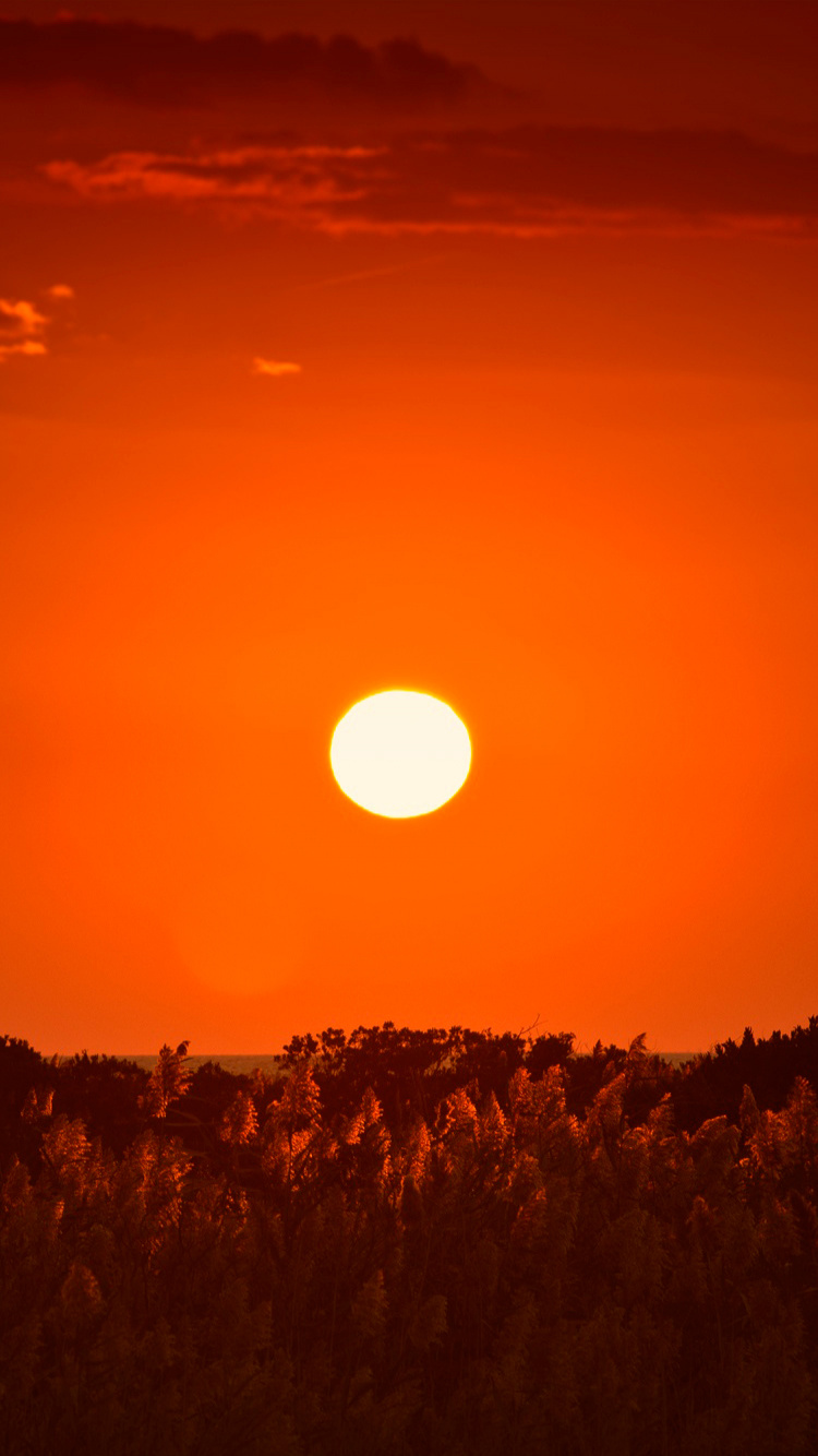 Обои горизонт, утро, восход солнца, дневное время, рассвет в разрешении 750x1334
