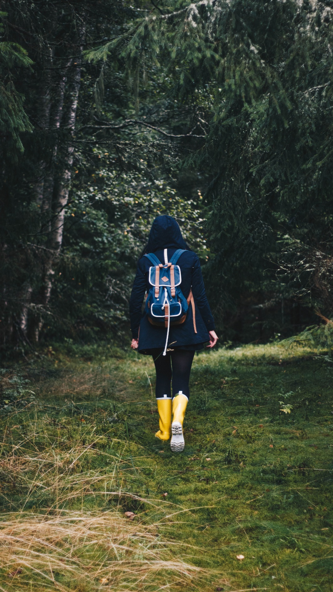 Обои отдых, дерево, лес, растение в разрешении 1080x1920