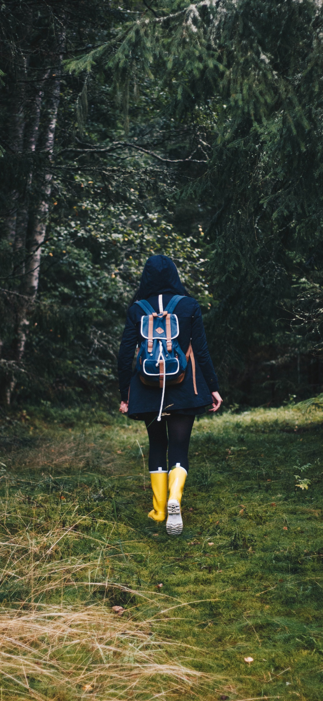 Обои отдых, дерево, лес, растение в разрешении 1125x2436