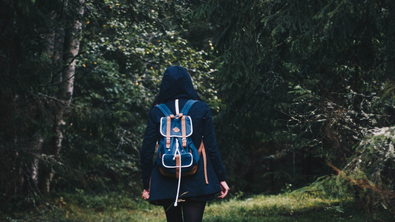 Обои отдых, дерево, лес, растение в разрешении 1366x768