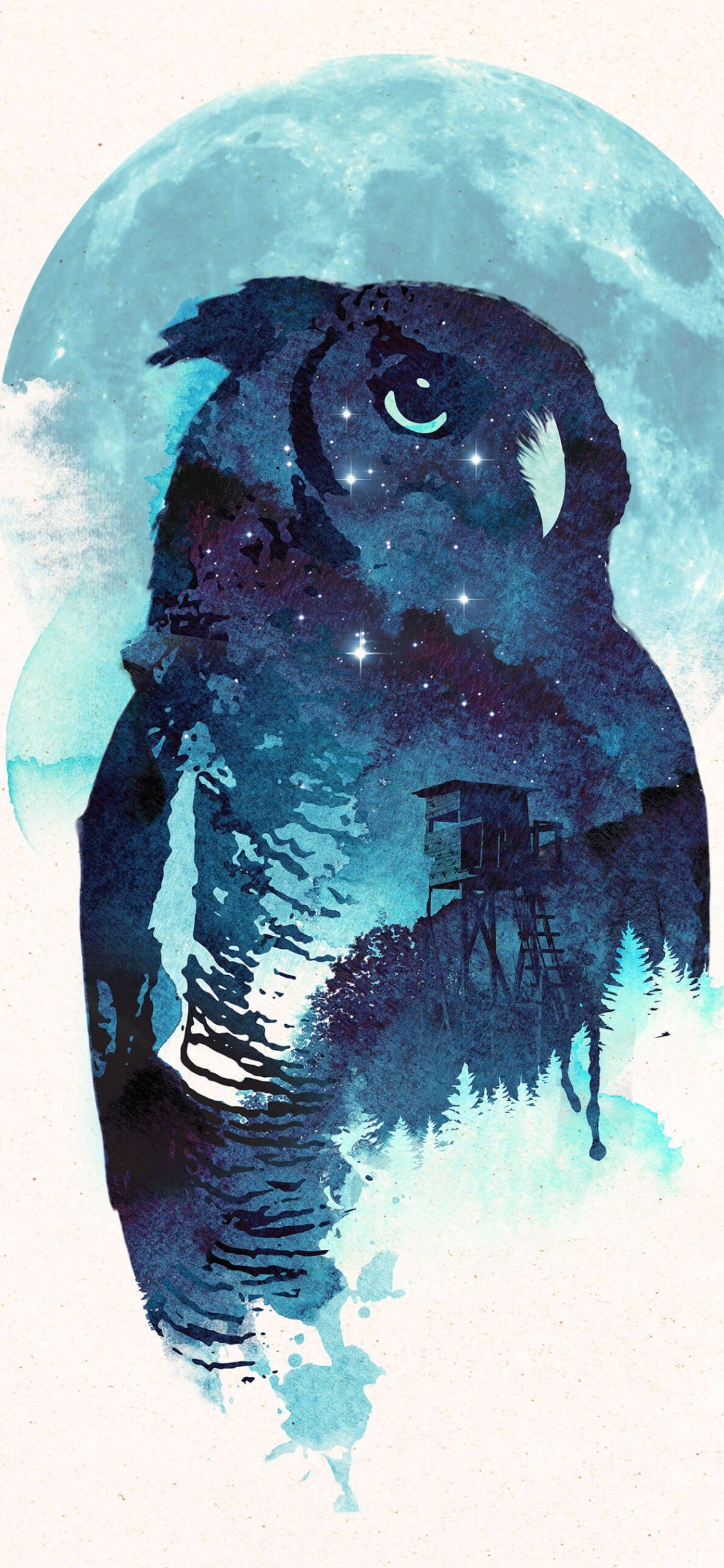 Обои полуночная сова арт, художественная печать, живопись, арт, холст стены искусства в разрешении 1125x2436