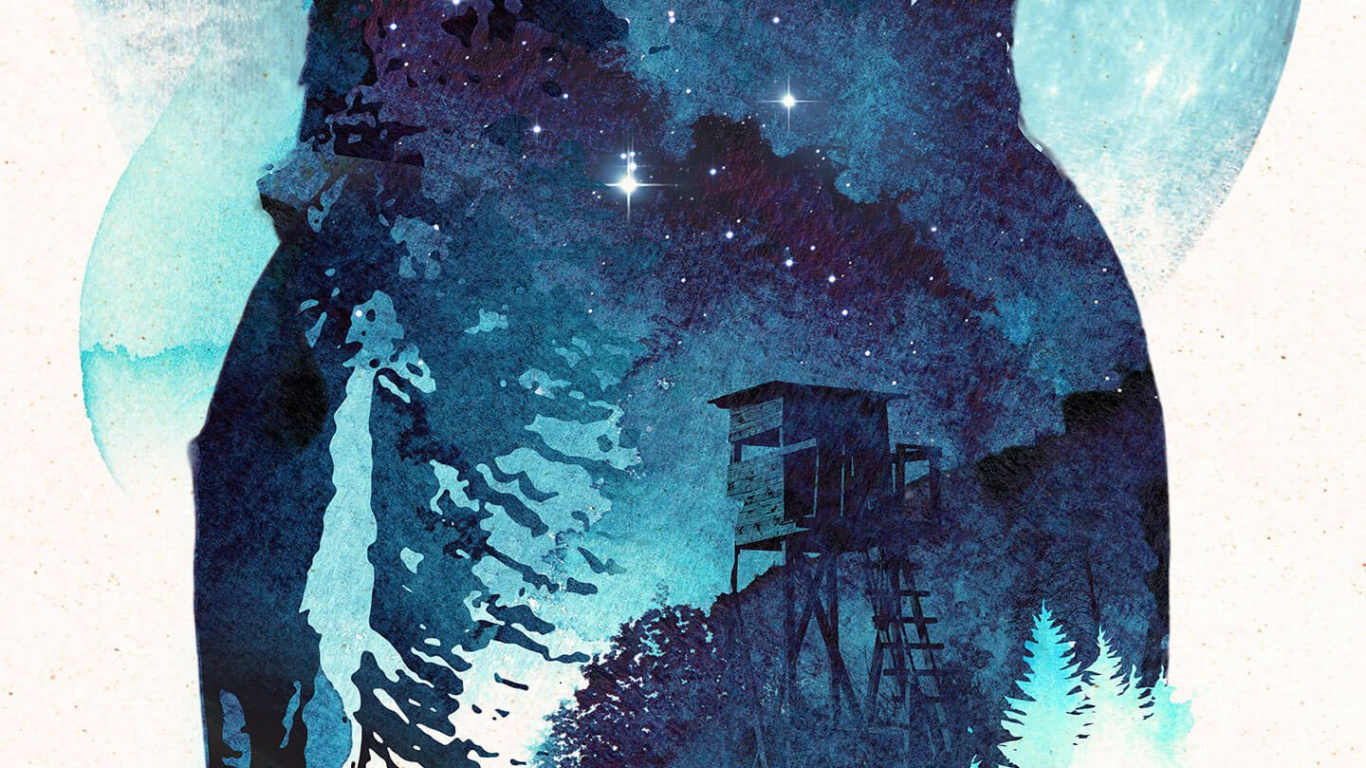 Обои полуночная сова арт, художественная печать, живопись, арт, холст стены искусства в разрешении 1366x768