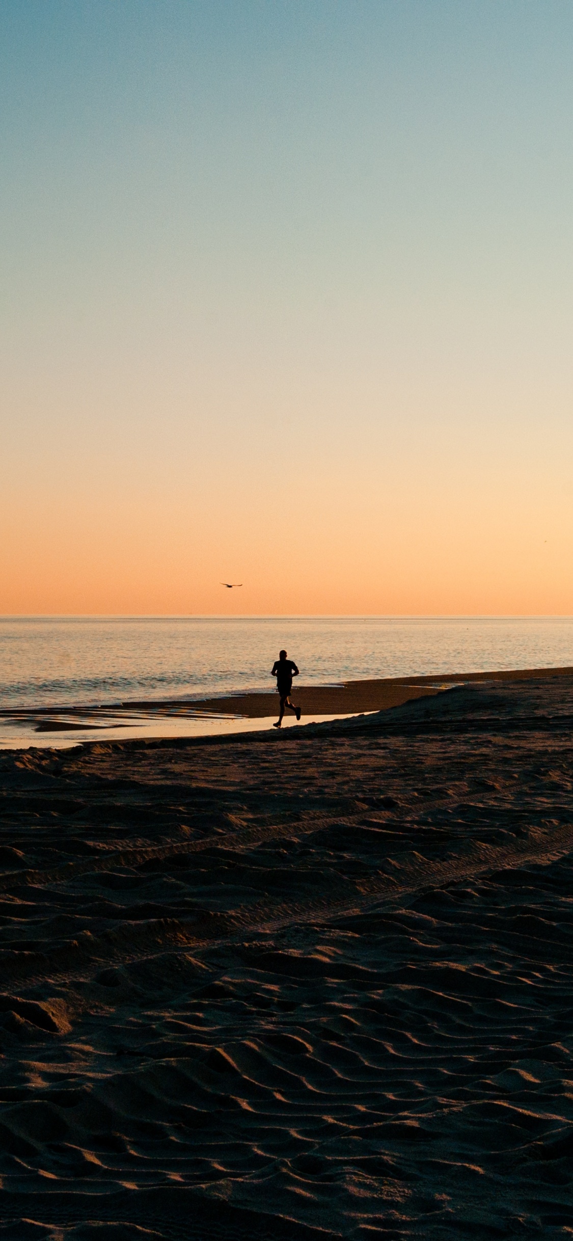 Обои водоем, горизонт, море, пляж, океан в разрешении 1125x2436