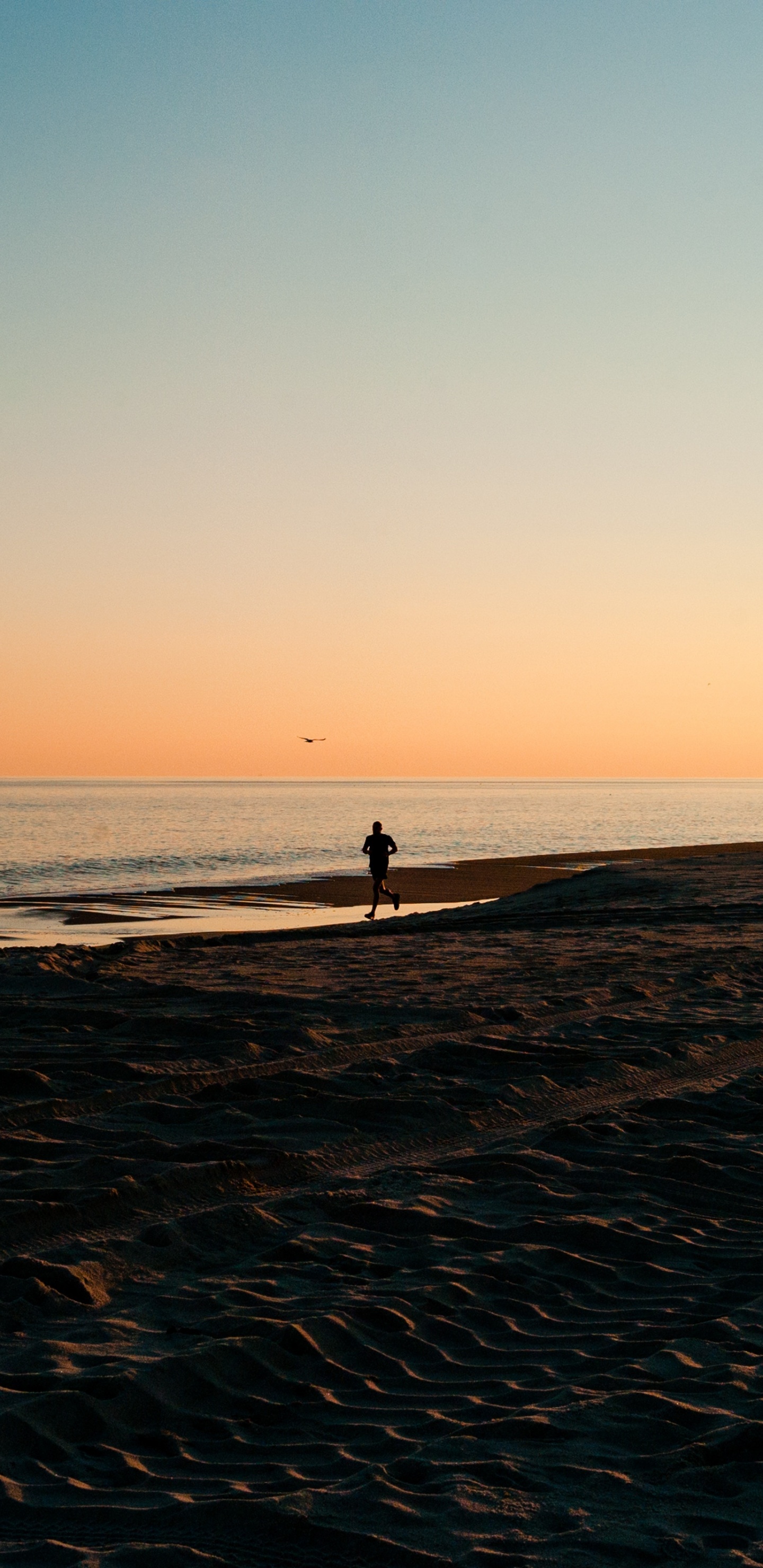 Обои водоем, горизонт, море, пляж, океан в разрешении 1440x2960