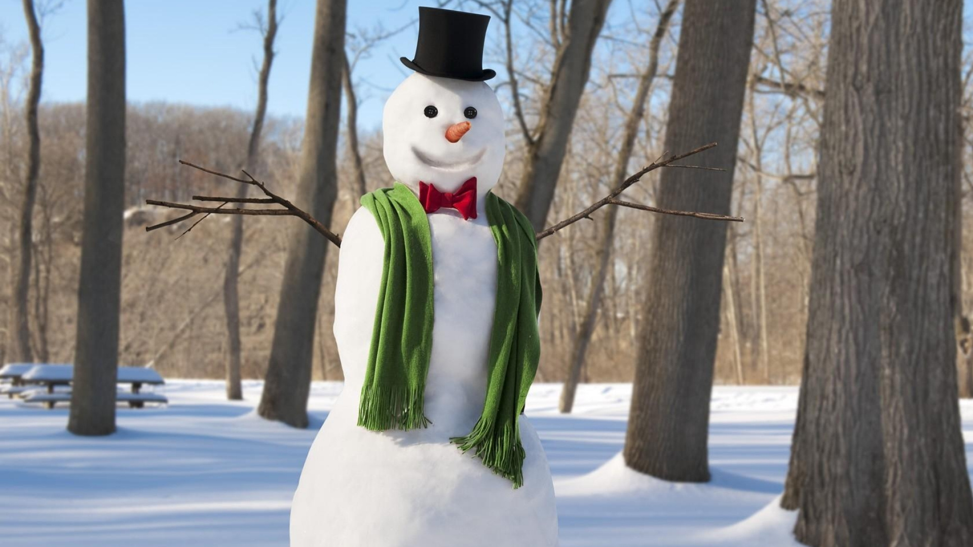 Обои Снеговик, Рождество, Новый год в разрешении 1920x1080