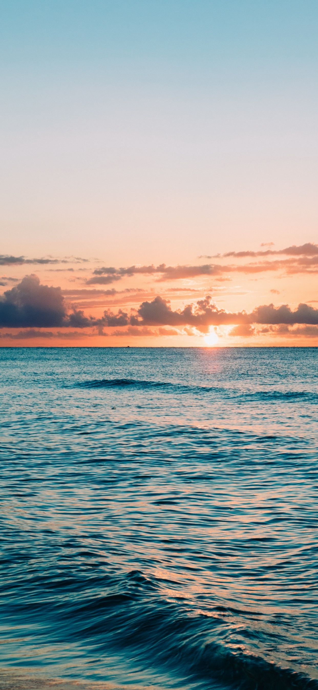 Обои горизонт, океан, вода, море, пляж в разрешении 1242x2688