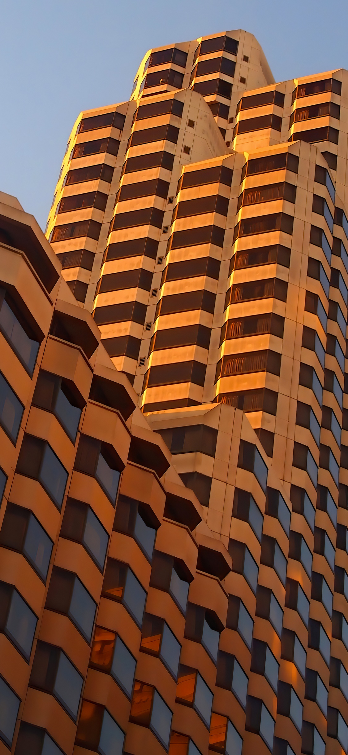 Обои небоскреб, архитектура, угол, здание, древесина в разрешении 1125x2436