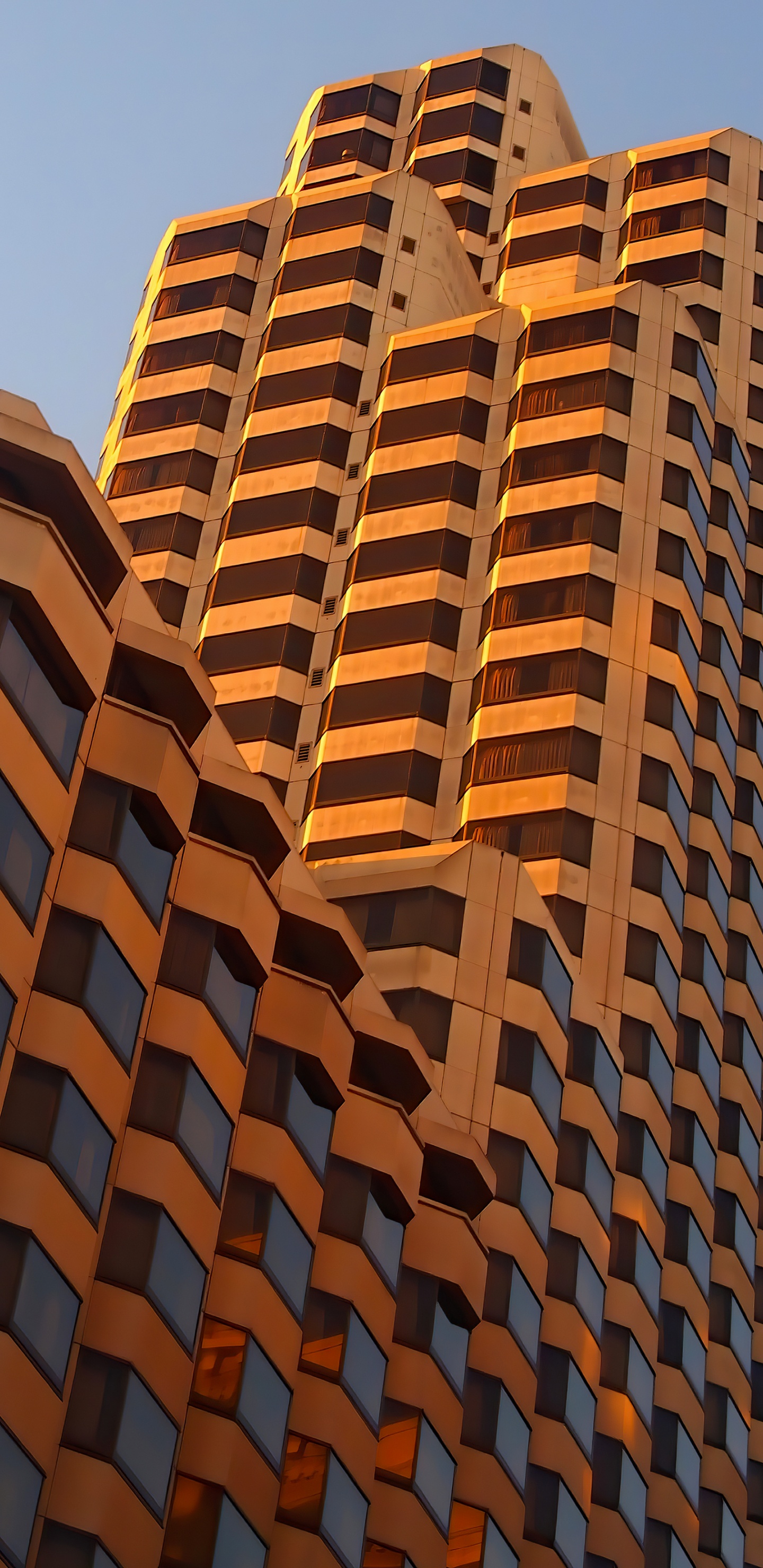 Обои небоскреб, архитектура, угол, здание, древесина в разрешении 1440x2960