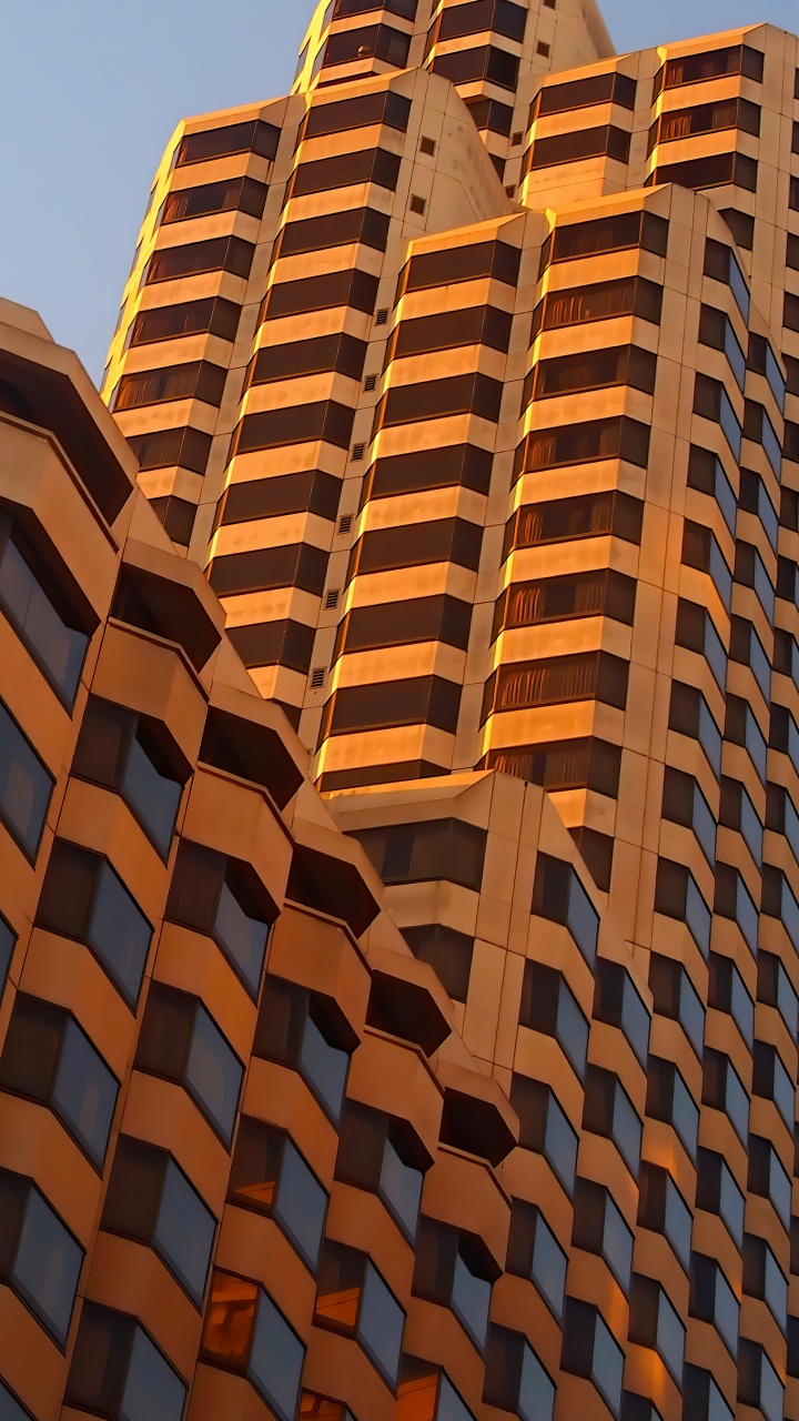 Обои небоскреб, архитектура, угол, здание, древесина в разрешении 720x1280