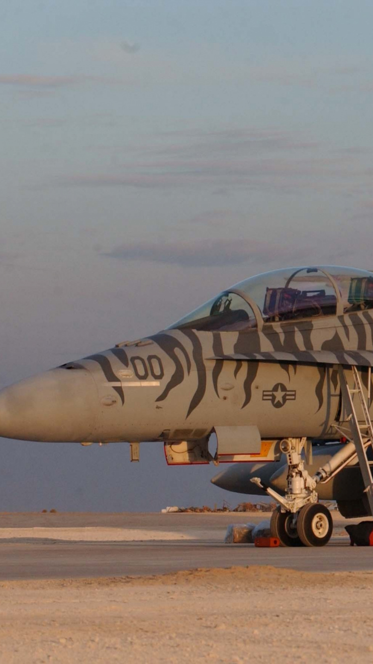 Обои макдоннелл Дуглас, корпус морской пехоты США, воздушные силы, военный самолет, истребительная авиация в разрешении 750x1334