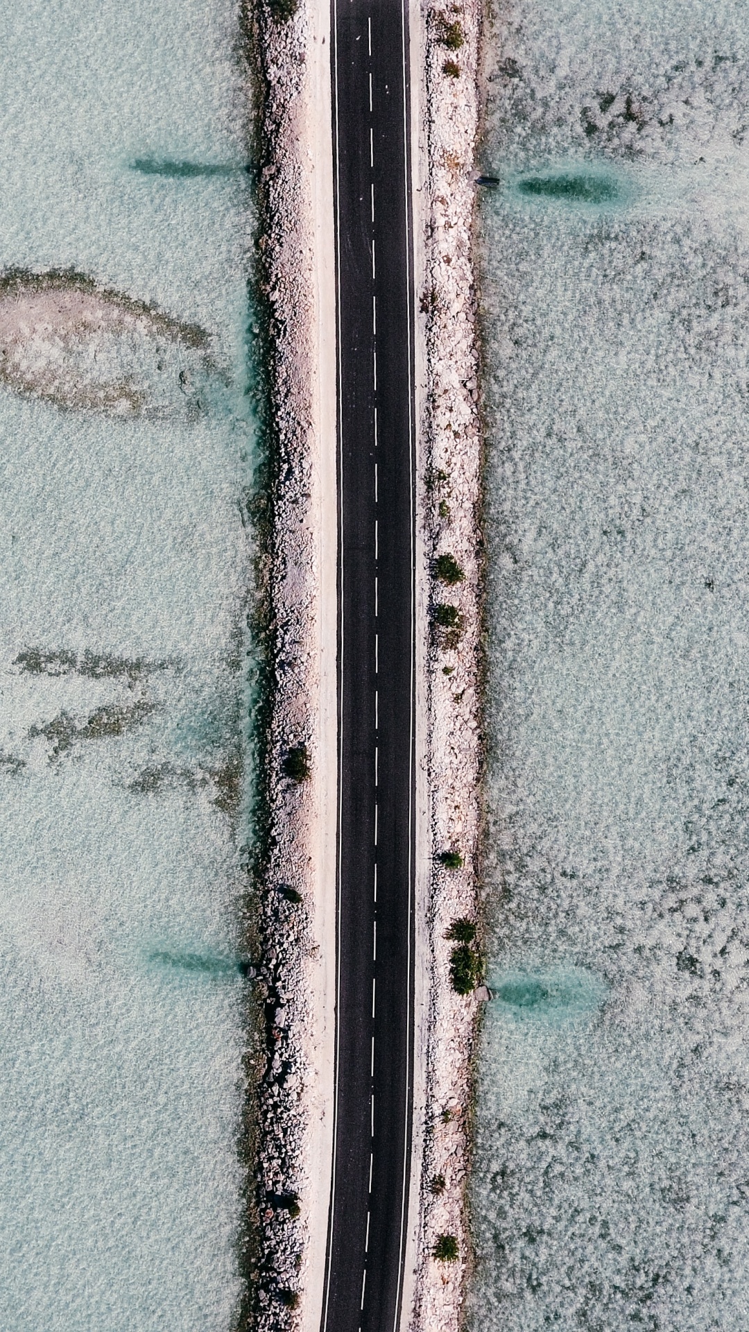 Обои зеленый, синий, стена, линия, дерево в разрешении 1080x1920