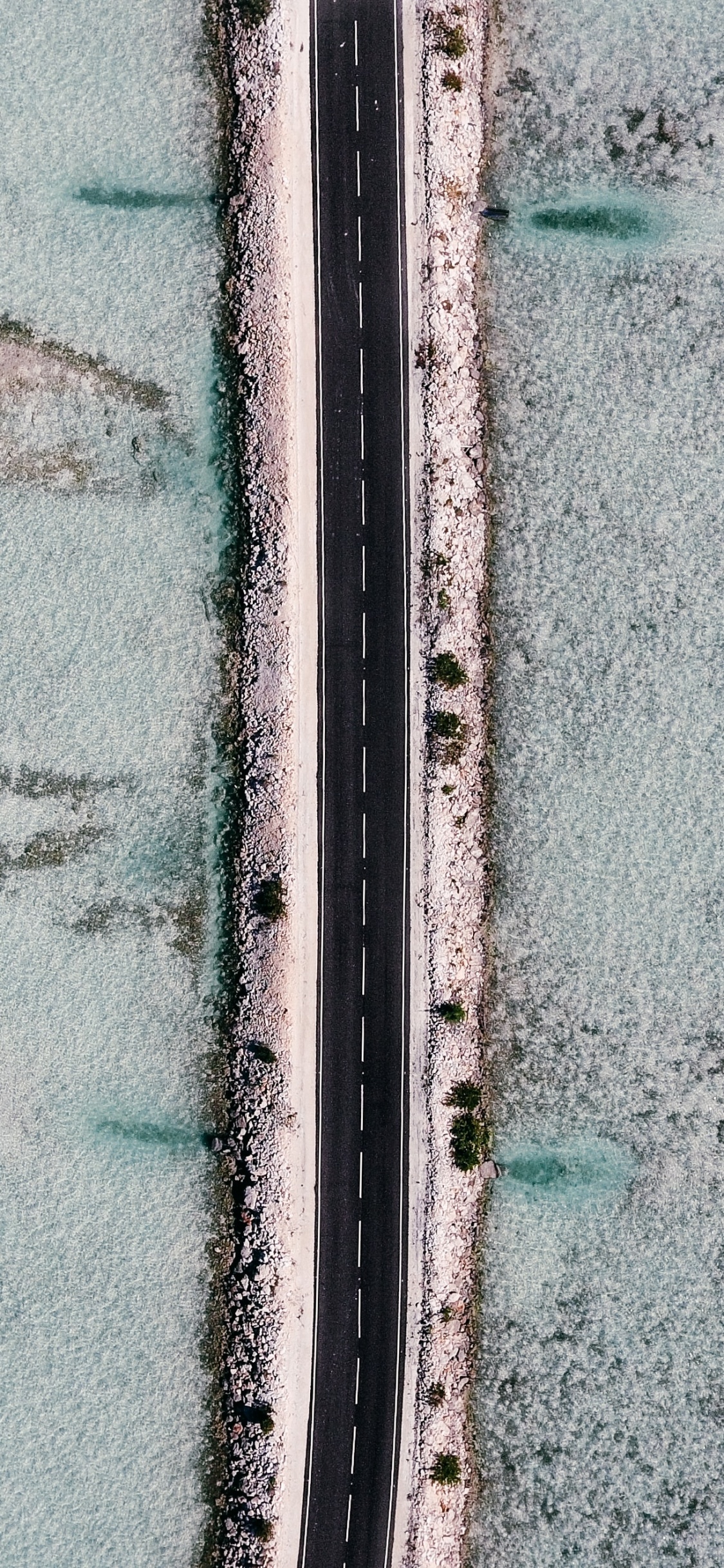 Обои зеленый, синий, стена, линия, дерево в разрешении 1125x2436